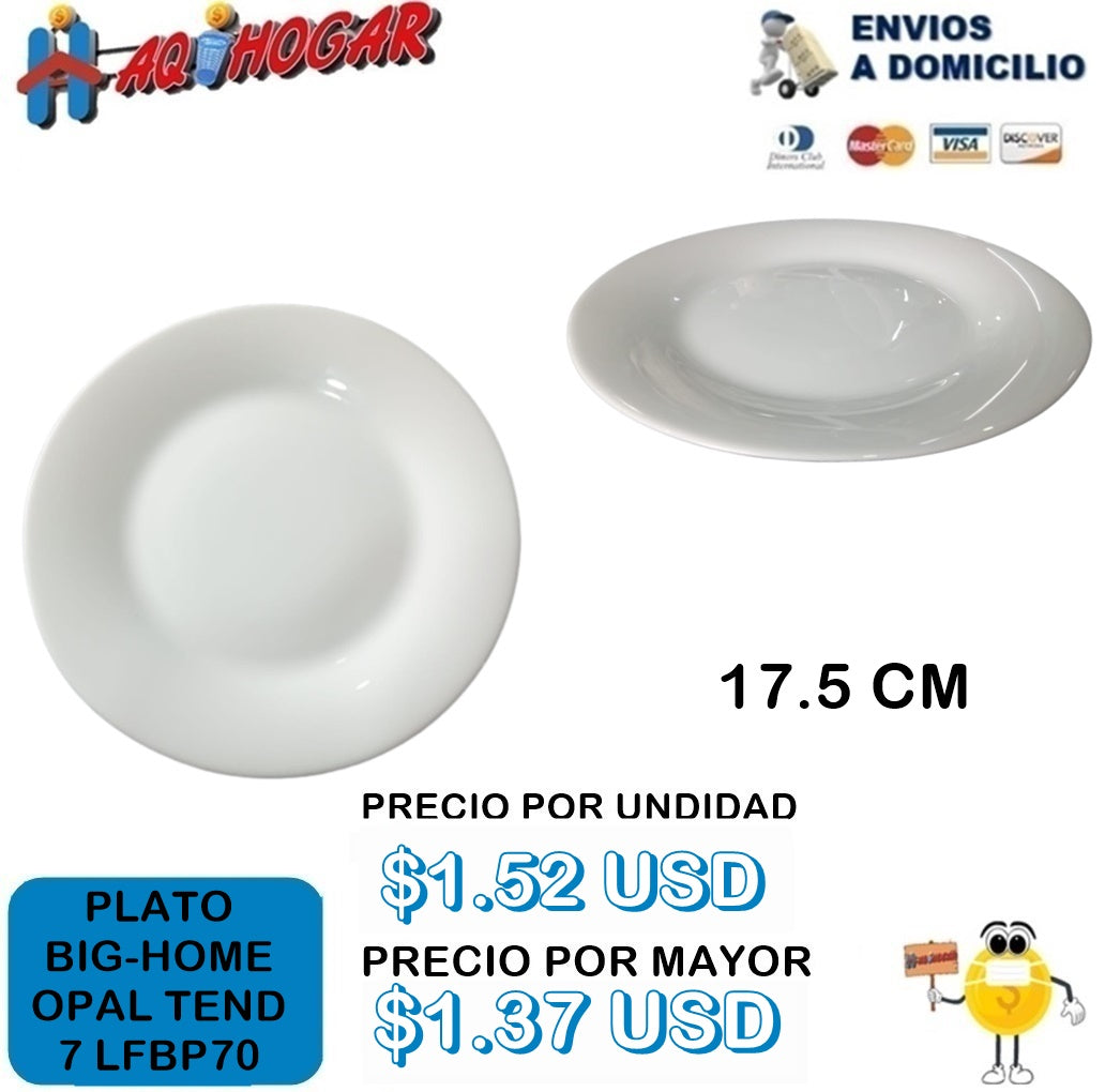 Plato Big-Home Opal Tendido 7