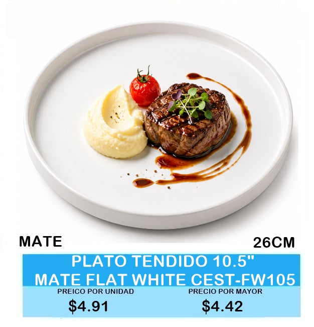PLATO TENDIDO 10.5" MATE FLAT WHITE CEST-FW105