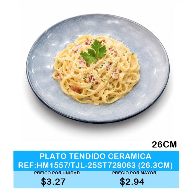 PLATO TENDIDO CERAMICA REF:HM1557/TJL-25ST728063 (26.3CM)