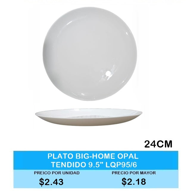 PLATO BIG-HOME OPAL TENDIDO 9.5" LQP95/6
