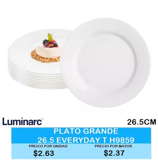 PLATO GRANDE 26.5CM EVERYDAY