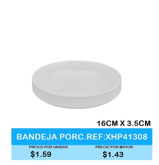 BANDEJA PORCELANA REF XHP41308