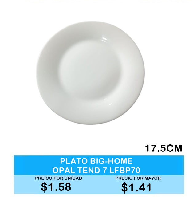 Plato Big-Home Opal Tendido 7