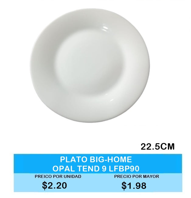 Plato Big-Home Opal Tendido 9