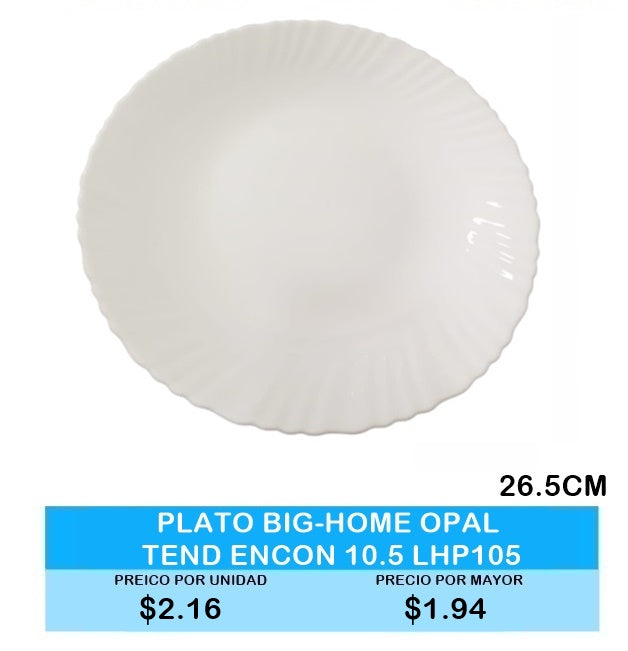 PLATO BIG-HOME OPAL TENDIDO ENCONCHADO  10.5 LHP105