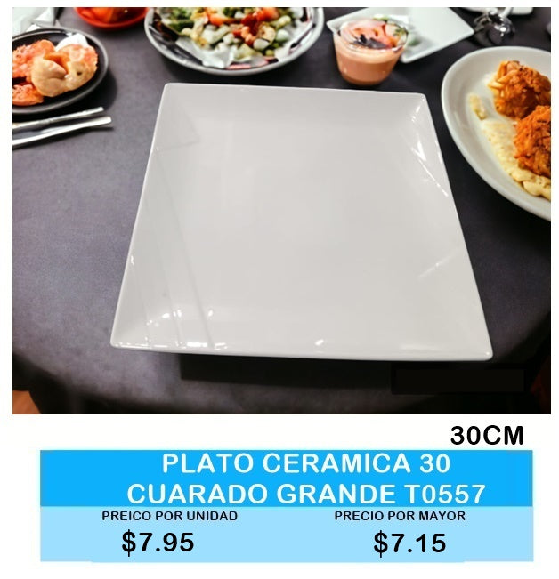 Plato Cuadrado Grande 30CM