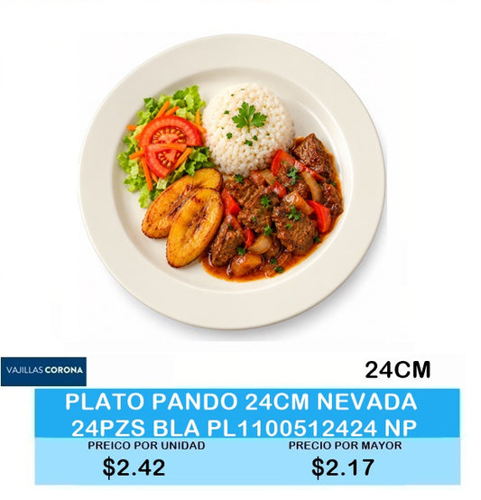 PLATO PANDO 24CM NEVADA 24PZS BLA PL1100512424 NP