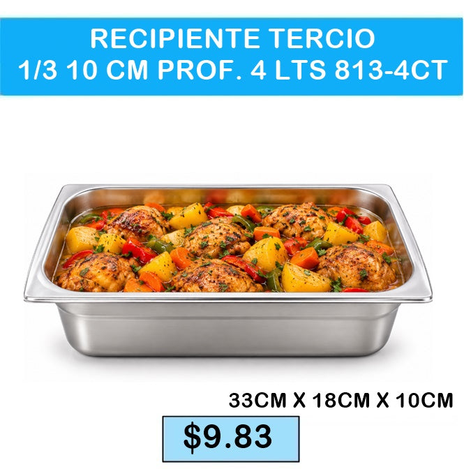 RECIPIENTE TERCIO 1/3 10 CM PROF. 4 LTS 813-4CT