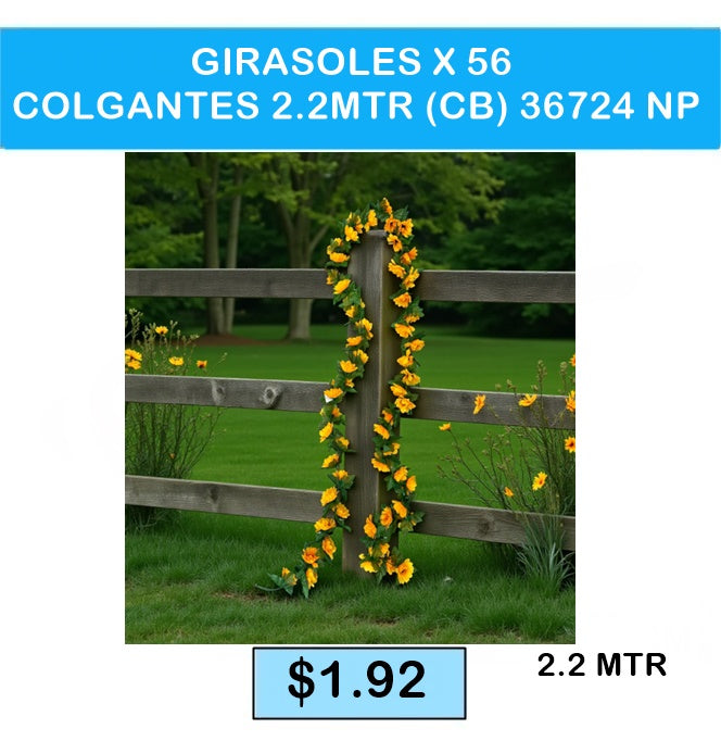 GIRASOLES X 56 COLGANTES 2.2MTR (CB) 36724 NP