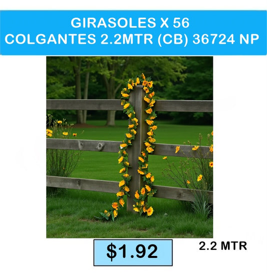 GIRASOLES X 56 COLGANTES 2.2MTR (CB) 36724 NP